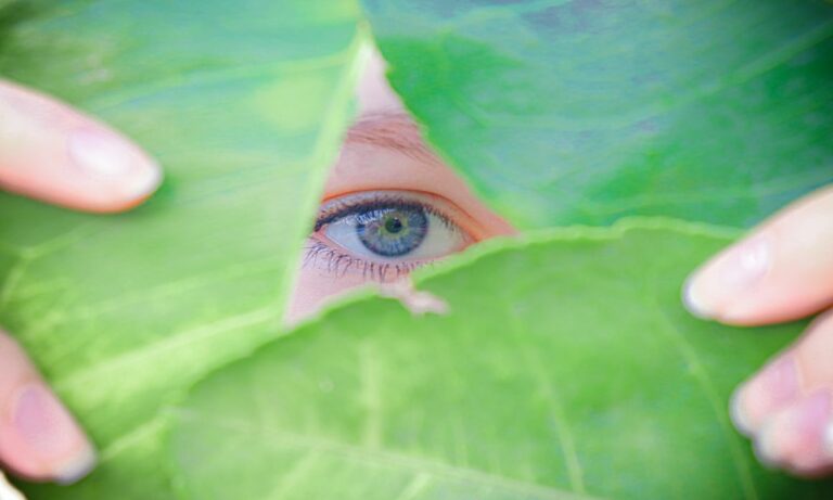 Roll-on contour des yeux bio