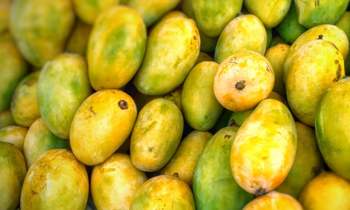 Beurre de mangue : Le soin nourrissant naturel pour les peaux sèches et cheveux secs